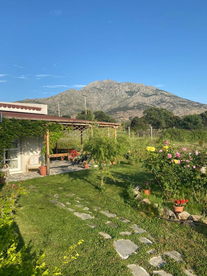 Samothraki - Sea, Mountain, Quiet Villa Dış mekan fotoğraf